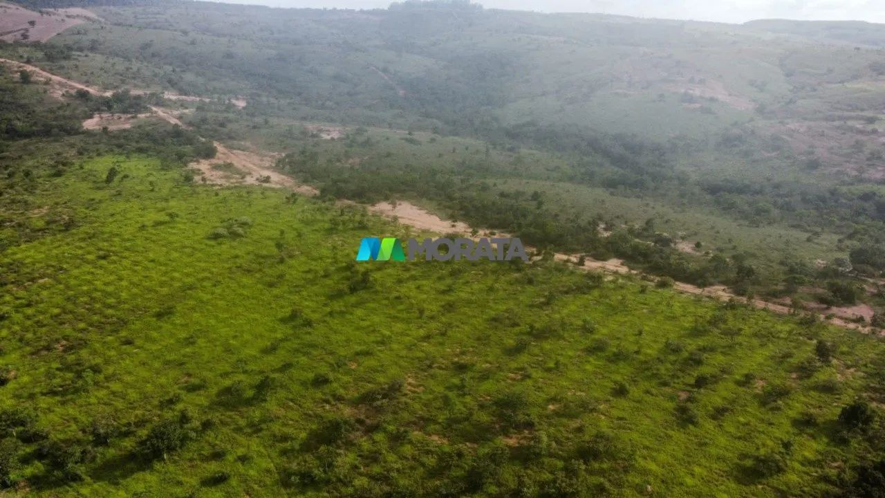 FAZENDA À VENDA - 75 HECTARES - ABAETÉ (MG)