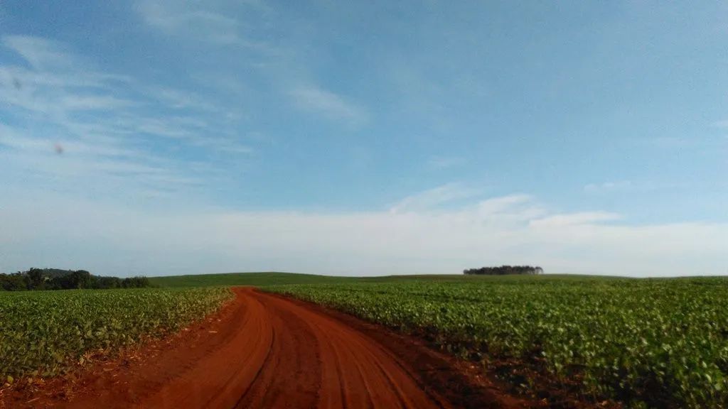 Fazenda avenda 