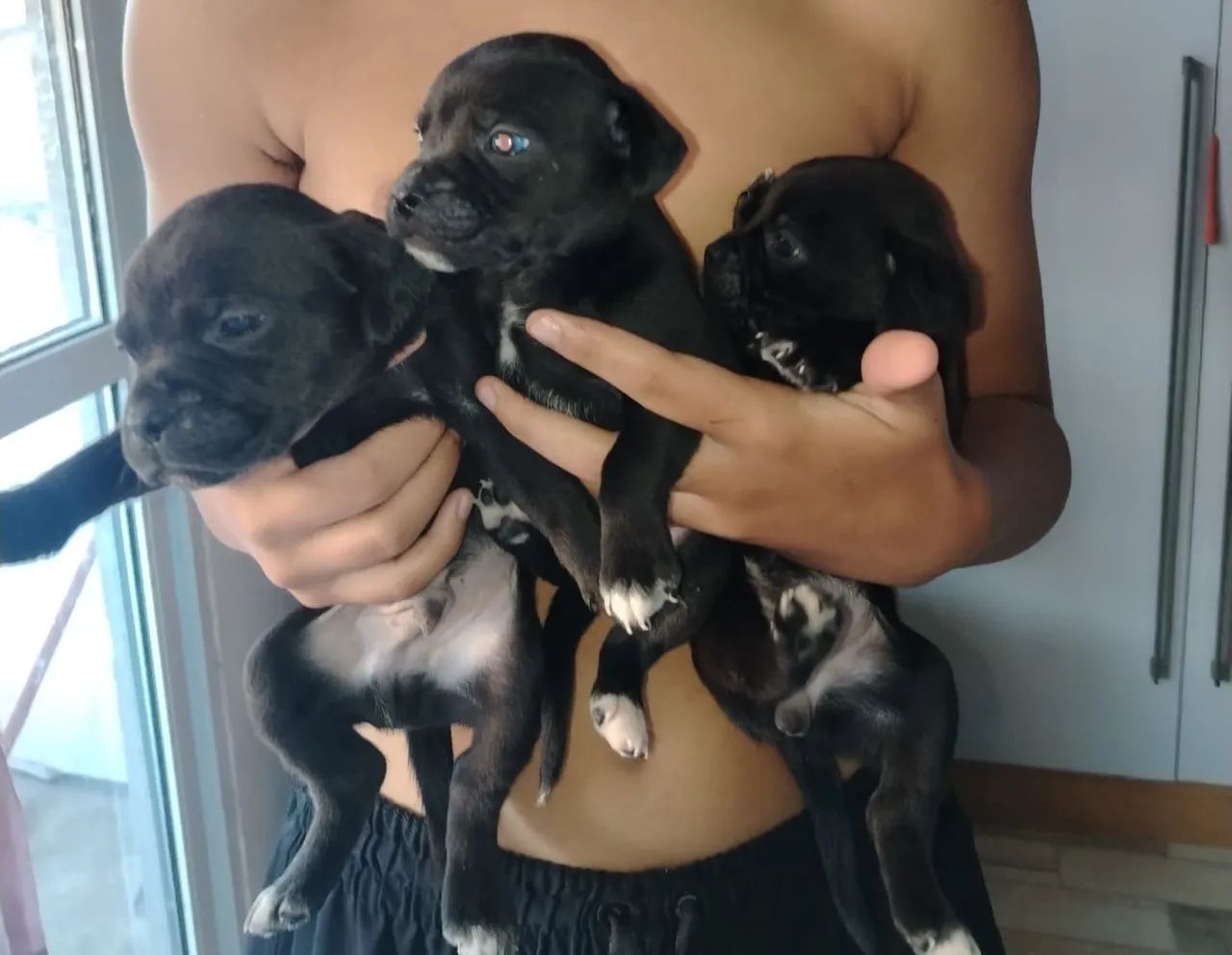 Doação  - Foto 2