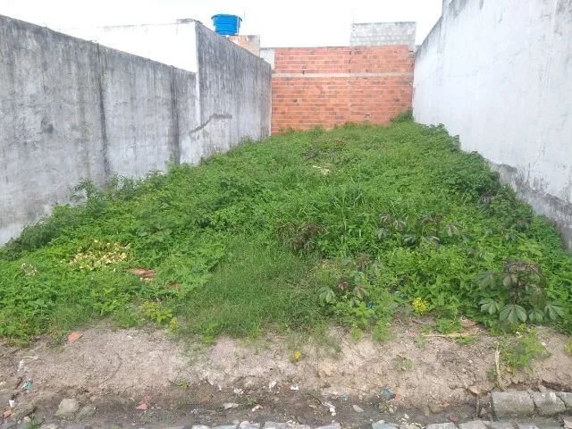 Terreno 7x22 no centro de areia branca 