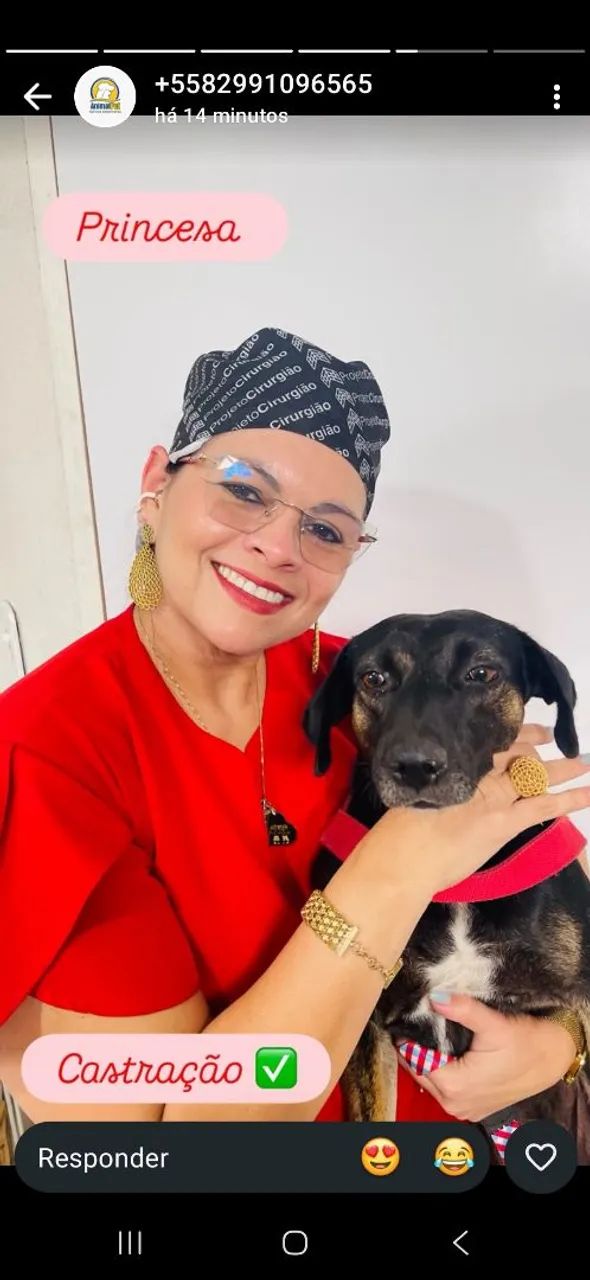 Cachorrinha castrada e vacinada para adoção responsável 