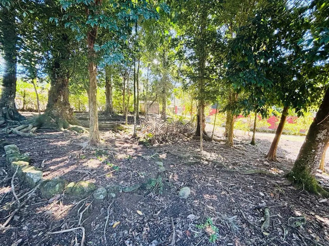 Terreno, Sertão da Quina, Ubatuba - R$ 250 mil, Cod: 3010 - Foto 10