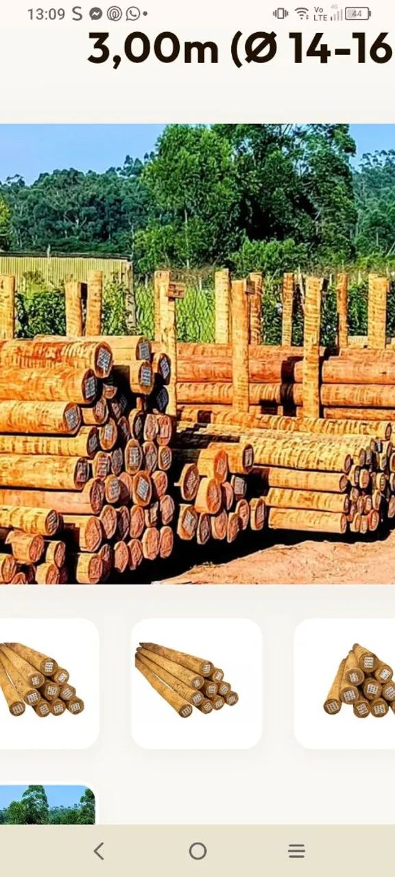 Mourões de eucalipto  - Foto 2