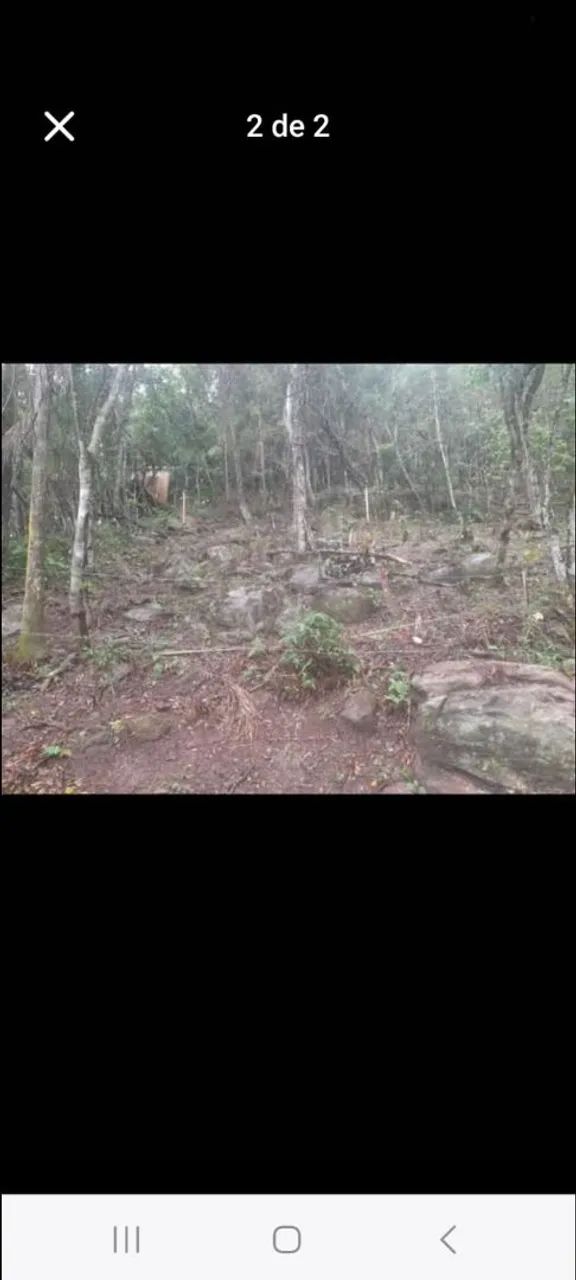 Terreno  na costeira  - Foto 3