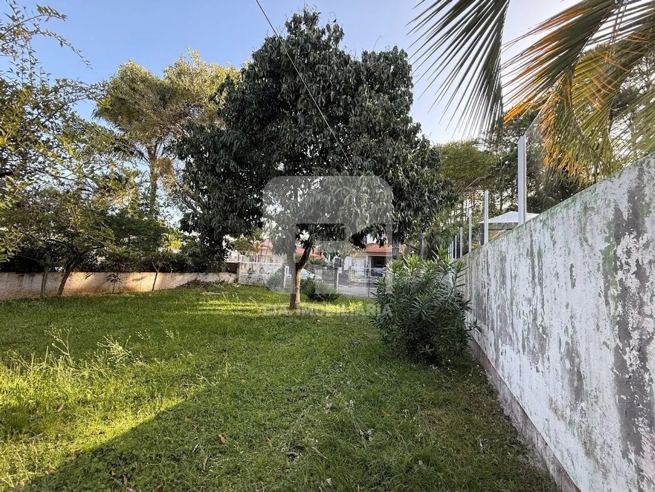 Terreno à venda na Barra da Lagoa - Foto 4