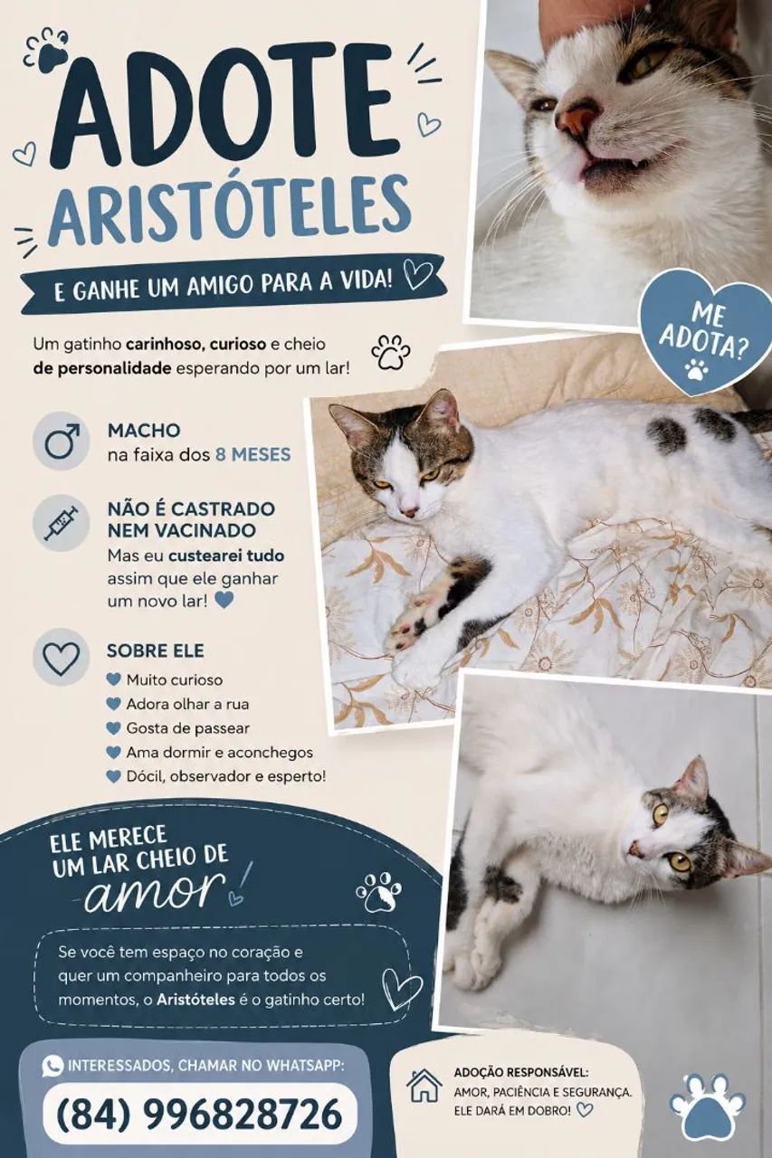 Adoção de pet