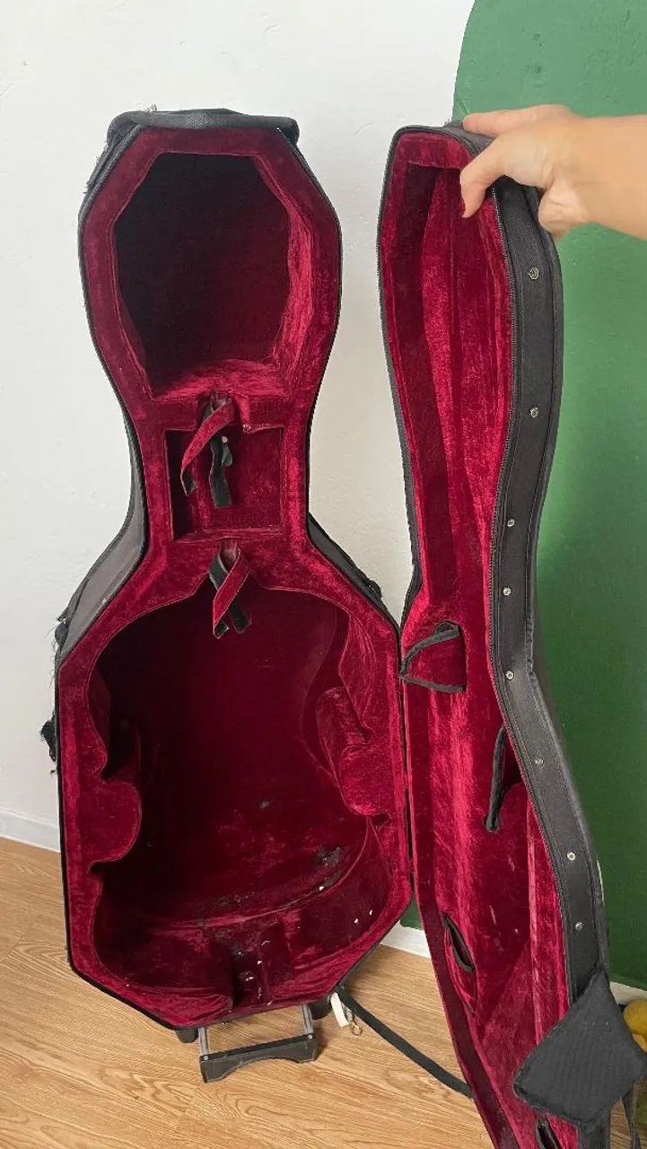 Violoncelo Eagle 4/4 - Foto 4