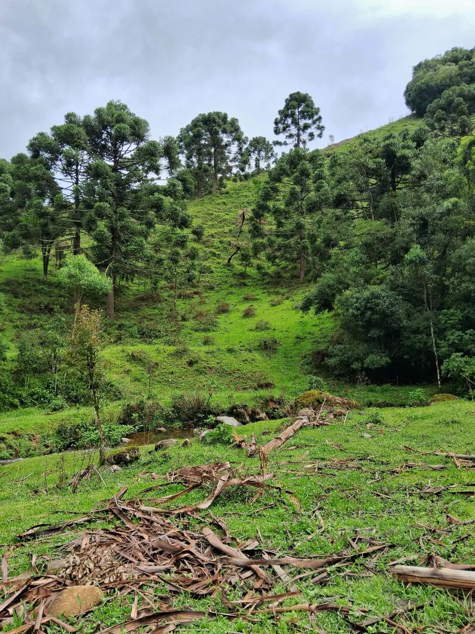 Terreno 3 hectares com riacho em Anitápolis-SC  - Foto 5