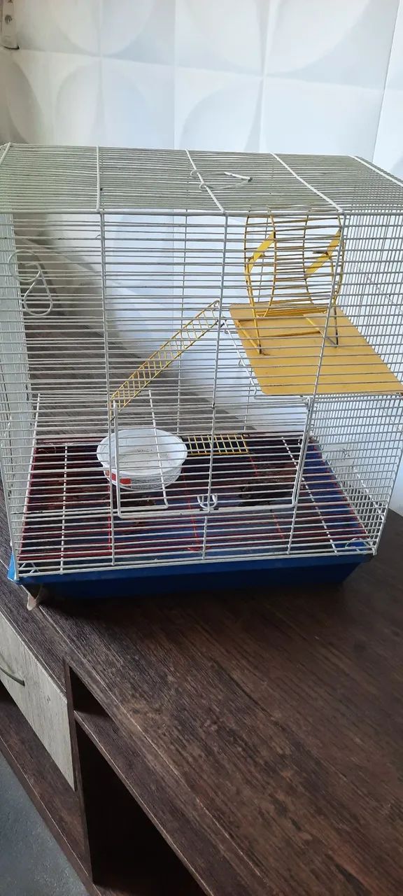 Gaiola - Foto 3