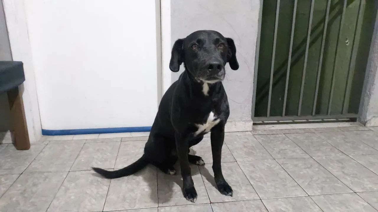Doação - Foto 2