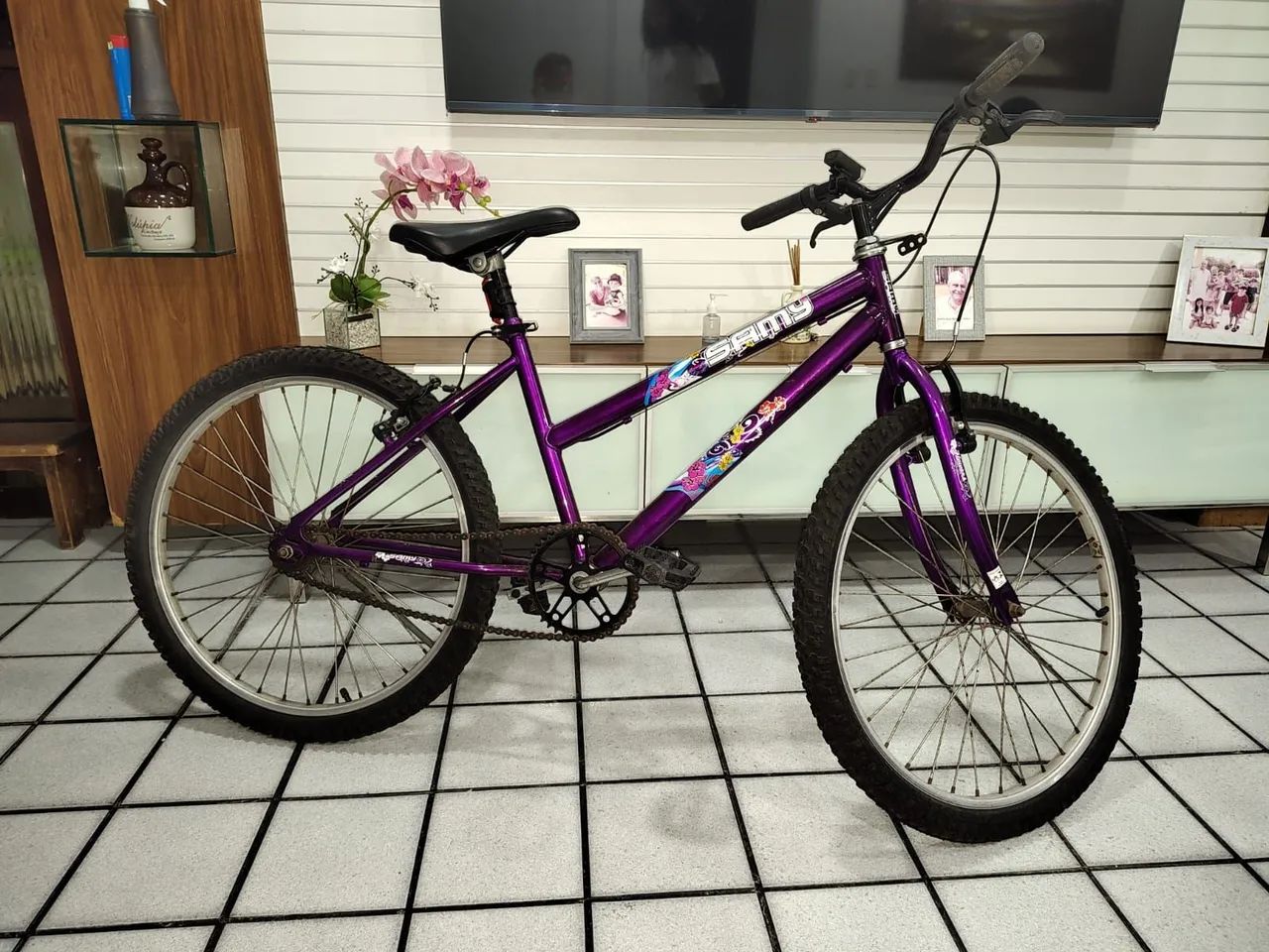 Vendo Bicicleta Samy Aro 26