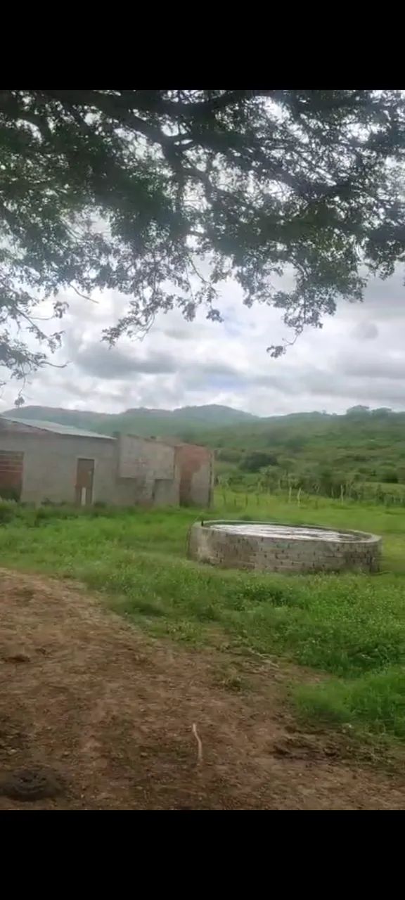 Granja no ingar 8.8 hectares
