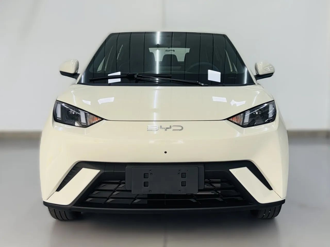 BYD Dolphin Mini (Elétrico) 2027 - Foto 2