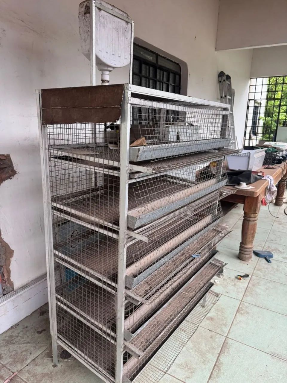 Vende se essa gaiola para codornas completa - Foto 2