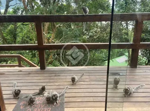 Casa Solidão com Vista  Negócio Pronto e Rentável no Airbnb codigo: 151009 - Foto 4