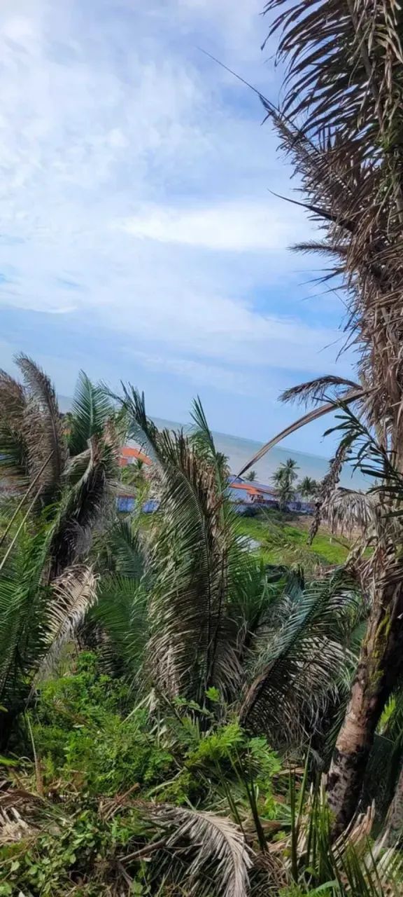 PRAIA DE PANAQUATIRA: Terreno à venda vista mar  Grande Ilha de São Luís. - Foto 3
