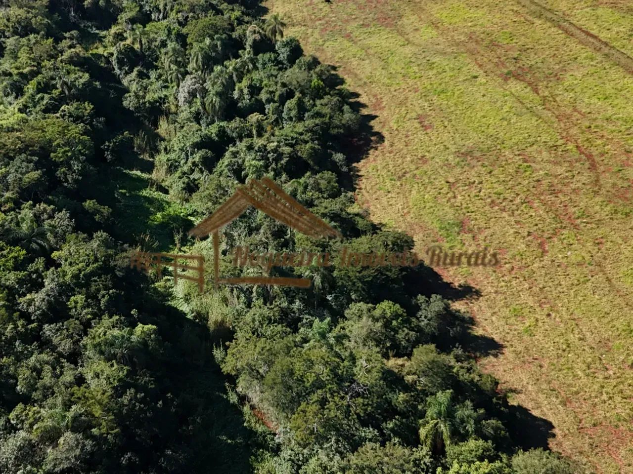 Sitio a venda com 5 alqueires em Manduri-SP - Foto 5