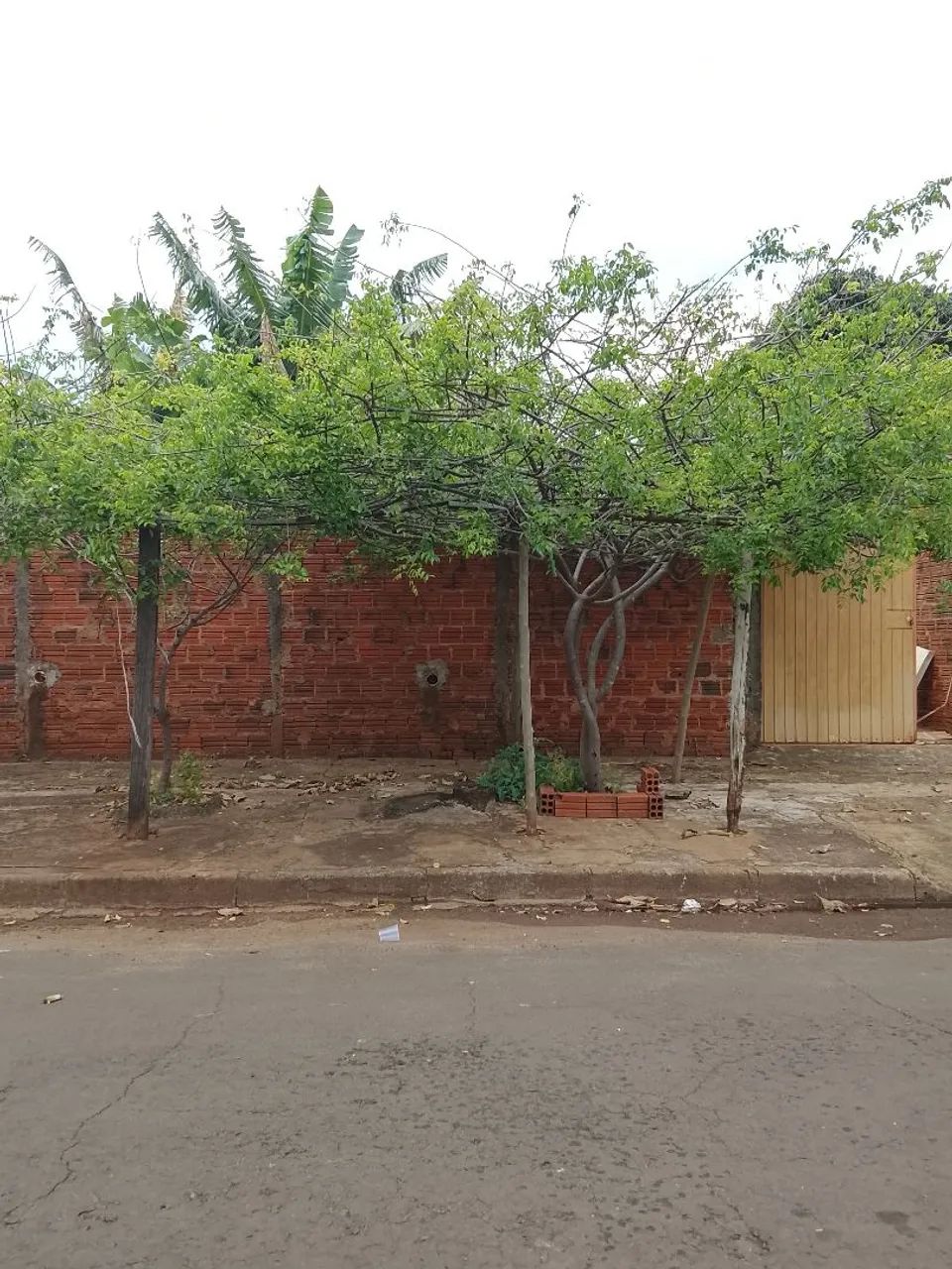 Vende-se Terreno
