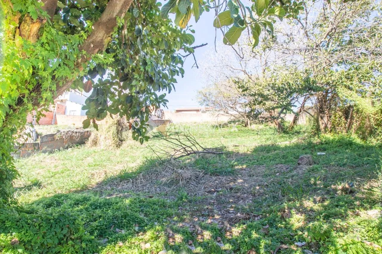 terreno - Parque Jambeiro - Campinas - Foto 4