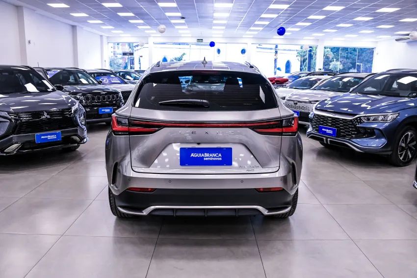 Lexus NX-350h F-sport 2.5 16V Aut. (hybrid), foto 8 de 19