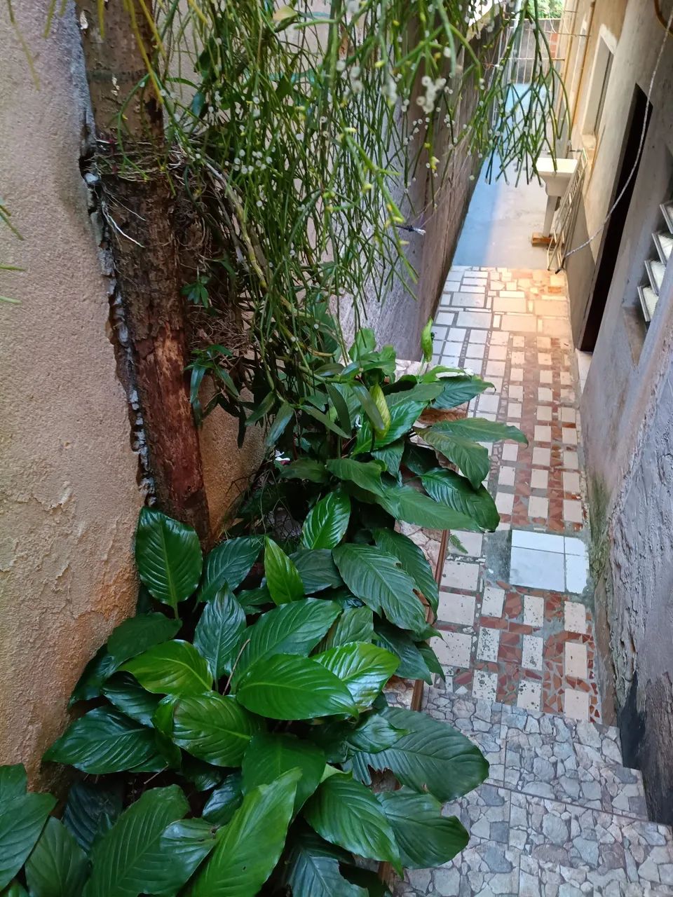 Foto - Barueri - Vila São Silvestre