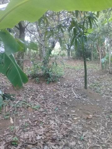 Vendo imóvel com duas casas e amplo terreno em Austin - Nova Iguaçu - Foto 19