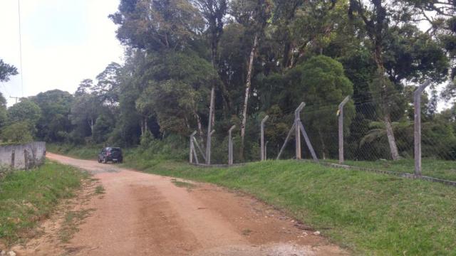 Chácara à venda em Borda do campo, São josé dos pinhais cod:69291 - Foto 6