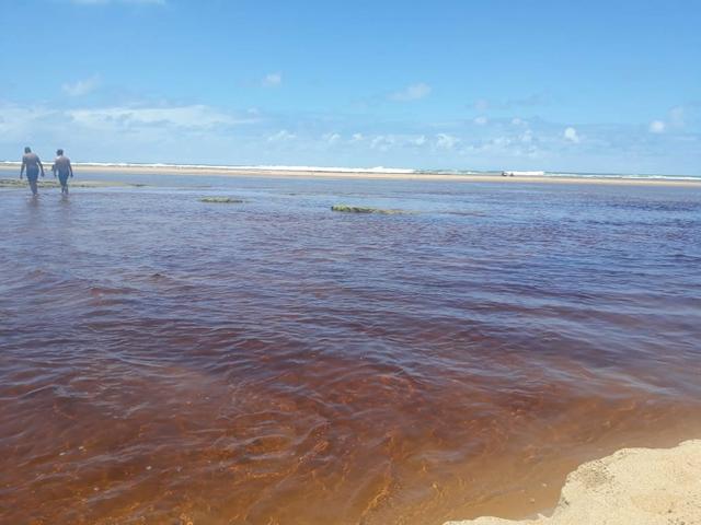 Vende - se Casa de Praia mais terreno em Subauma Linha - Foto 10