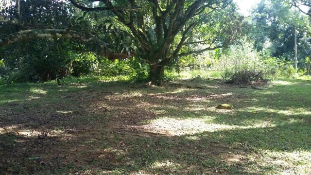 Lindo sítio em Guapimirim - Limoeiro oportunidade!!! - Foto 8