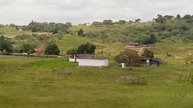 Sairé=Vend-25 mil por Hect. Fazenda com 200 Hectares-Pronta pra Criar Gado - Foto 11