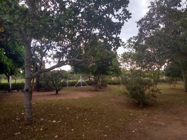 Alugo ou Vendo >>> Chácara das Mansões - Foto 17