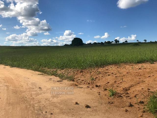 Fazenda em Nova Venécia ES com 25 alqueires (121 hectares) - Foto 12