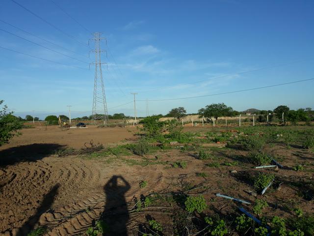 Vendo roça na audutora - Foto 9