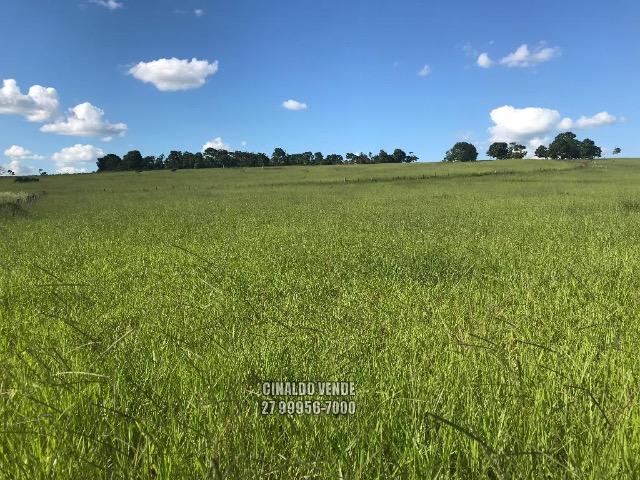 Fazenda em Nova Venécia ES com 25 alqueires (121 hectares)