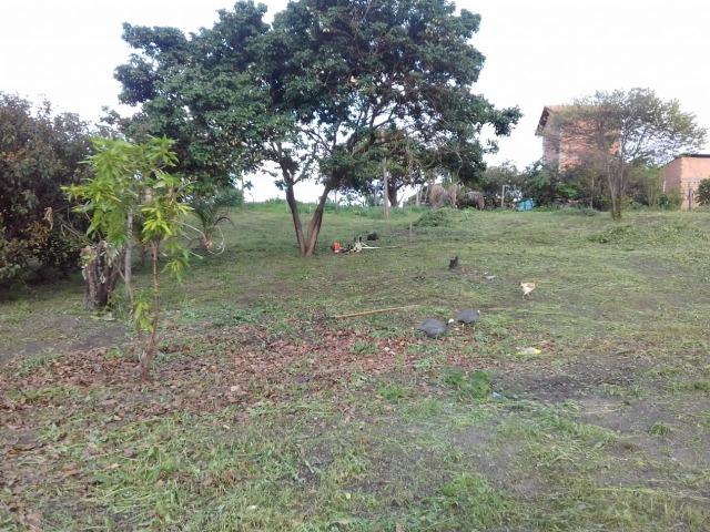 Vendo 2 Terrenos em Salinópolis-PA - Foto 4