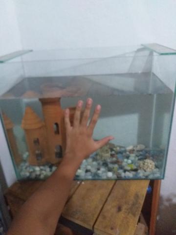 Aquário - Foto 2
