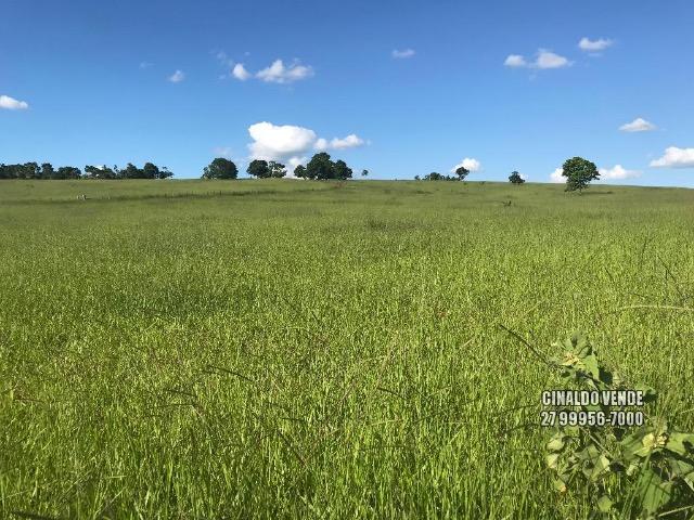 Fazenda em Nova Venécia ES com 25 alqueires (121 hectares) - Foto 5