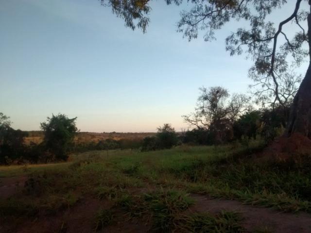 ID.12 Fazenda 190 alq. Para Lavoura á venda em Caldas novas-Go - Foto 7