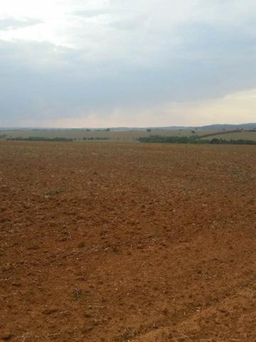 ID.12 Fazenda 190 alq. Para Lavoura á venda em Caldas novas-Go - Foto 11
