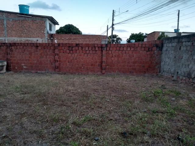 Terreno em pau amarelo - Foto 4