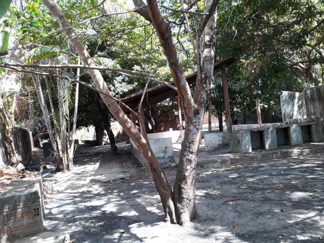 Vendo um sitio - Foto 2