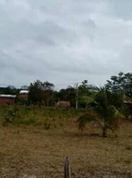 Terreno - Foto 2