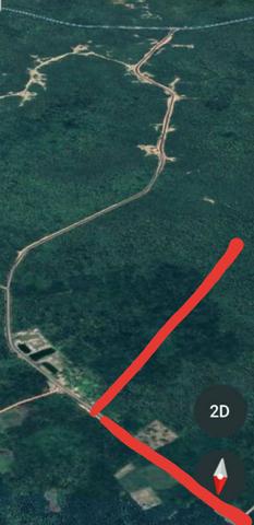 Área 103 hectares em buriti dos lopes-pi