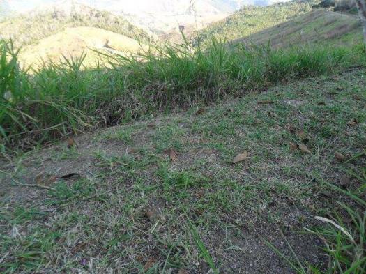 Terreno residencial à venda, Bonsucesso, Teresópolis. - Foto 2