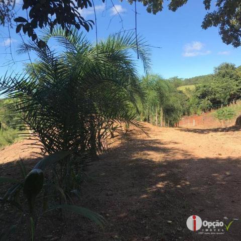 Chácara com 2 dormitórios à venda, 10000 m² por r$ 180.000,00 - residencial são vicente - - Foto 3