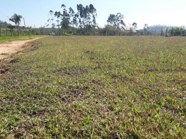 Terreno Plano Lindo Demais para Montar sua Chácara - Foto 8