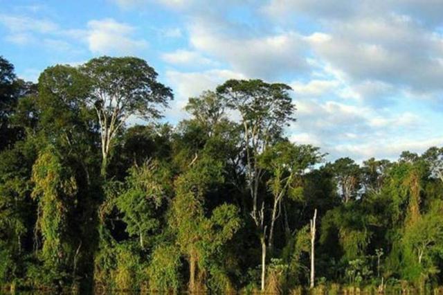 480 Hectares, Mata Raleada,Pecuária e lavoura, Analândia,União do Sul,Marcelândia-MT