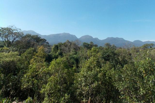 480 Hectares, Mata Raleada,Pecuária e lavoura, Analândia,União do Sul,Marcelândia-MT - Foto 2