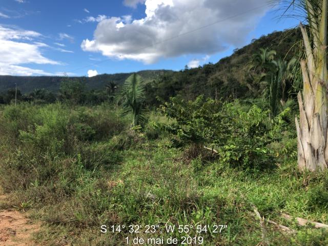 120 alqueires, pecuária e parte lavoura Bom Jardim-MT - Foto 7