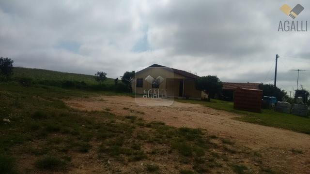 Chácara à venda com 4 dormitórios em Zona rural, Contenda cod:219-16 - Foto 4